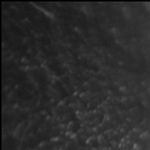 Sharkey Wins Marathon